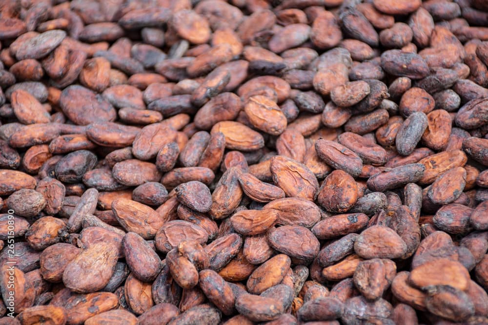 Cacao